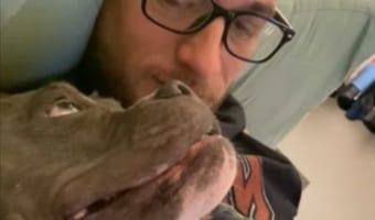 鳴き声をあげてキスを何度もせがんでくる愛犬。最後は我慢の限界がきたようで・・・