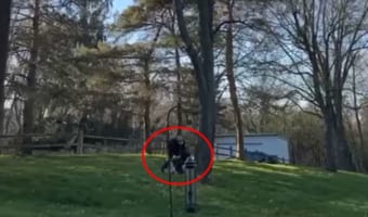 【衝撃映像】庭にある大きな木の伐採をミスっちゃった