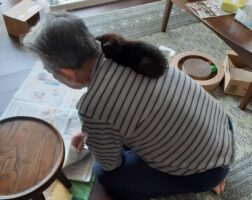 猫とお父さんの戯れる様子に思わずクスッとしてしまう『親父と猫』シリーズが話題に！