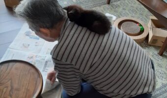 猫とお父さんの戯れる様子に思わずクスッとしてしまう『親父と猫』シリーズが話題に！