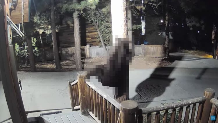 野鳥用に用意された餌。それを荒らす犯人を見付けようとしたら・・・○○のとんでもない姿を見てしまいました！！