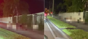 夜中の歩道に固まっている団体さん。なにかあったのかと思ったら・・・なんと放し飼いされた○○たちでした！！