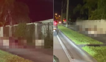 夜中の歩道に固まっている団体さん。なにかあったのかと思ったら・・・なんと放し飼いされた○○たちでした!!