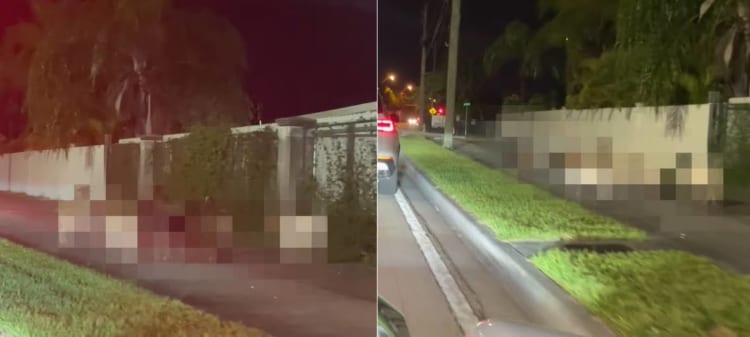 夜中の歩道に固まっている団体さん。なにかあったのかと思ったら・・・なんと放し飼いされた○○たちでした！！