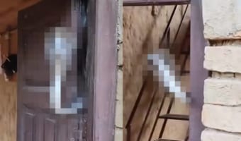 ええ？！これじゃセキュリティ万全だけど・・・自分も家に入れないよ！！玄関のドアにはなんと猛毒を持つ『あの生き物』が！！