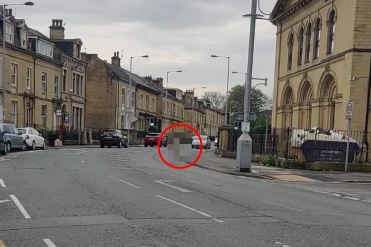 道路の向こうから颯爽と走ってきたのは・・・なんと体の大きな○○でした！道路で目撃された奇妙な光景にビックリ！