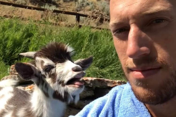 『ある事』を巡って口論を繰り広げる男性と子ヤギ。その風変りなバトルがコントみたいで笑える