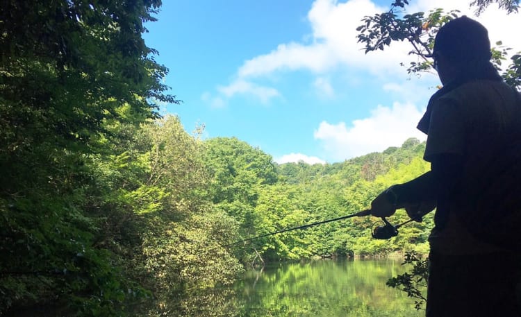 時間帯でバスの釣り方も変わる！？時間帯別攻略法！！
