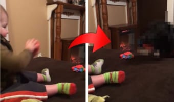 赤ちゃんのボール遊びに付き合ってあげる優しい愛犬。その姿が仲良しきょうだいのようで癒される!