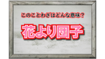 「花より団子」とはどんな意味？その由来やどのように使われる言葉についても解説！