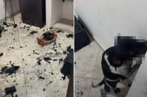 こんな顔されたら許したくなっちゃう！愛犬が部屋を豪快に散らかしたけれど・・・やっちゃった感あふれる態度がかわいすぎる！！