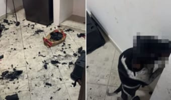 こんな顔されたら許したくなっちゃう!愛犬が部屋を豪快に散らかしたけれど・・・やっちゃった感あふれる態度がかわいすぎる!!