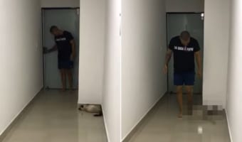 「そろそろかな~」飼い主さんが帰宅したところをワッ!と驚かせたいイタズラっ子な猫の姿が愛らしい