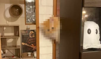 なんだか申し訳なさそう。居なくなったと思い、家中を探していたら棚の裏から出てきた愛猫の表情が・・・絶妙すぎる！