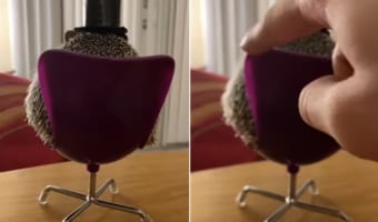 シルクハットも似合っていてとってもかわいい!ちっちゃな椅子を回転させるとそこに座っていたのは・・・