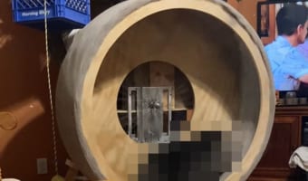 なんだかやたらと大きなハムスターの回し車だな・・・と思ったら、その中で走るのはなんと○○○○○でした！