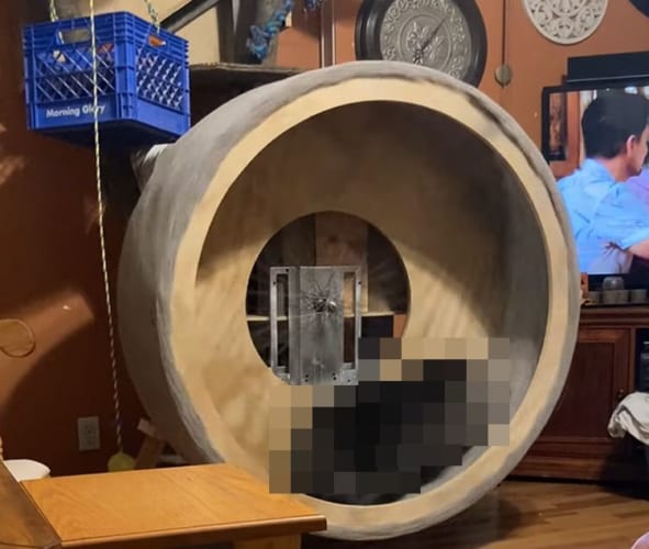 なんだかやたらと大きなハムスターの回し車だな・・・と思ったら、その中で走るのはなんと○○○○○でした！