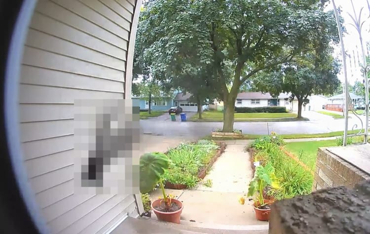 いくらそこをつついても穴は開かないよ。ピンポンダッシュをしたのは誰かとカメラをチェックしたところ、その犯人はなんと『あの鳥』でした！