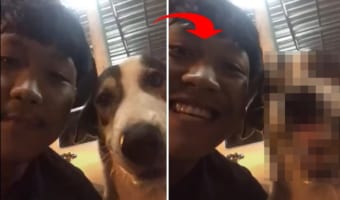 ふたりともいい笑顔！男性が笑ったのを真似してか、ツーショットを撮っていた犬もスマイル全開な表情を披露してくれました！