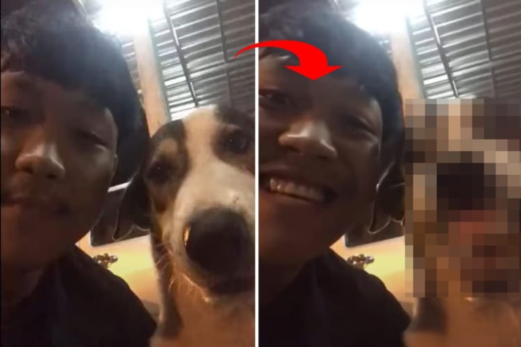 ふたりともいい笑顔！男性が笑ったのを真似してか、ツーショットを撮っていた犬もスマイル全開な表情を披露してくれました！