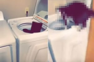 洗濯機に洋服を入れていると・・・、想像のななめ上のハプニングが発生しました！！