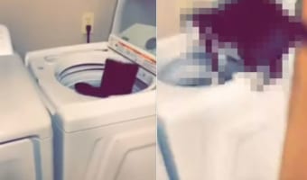 洗濯機に洋服を入れていると・・・、想像のななめ上のハプニングが発生しました!!