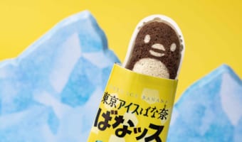 東京みやげの定番『東京ばな奈』がアイスに！？ねっとり濃厚食感を実現した『東京アイスばな奈 ばなッス』が誕生！！