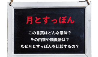 大きな違いがある事を意味する「月とすっぽん」、なぜこのふたつを比較しているの?