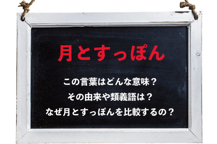 大きな違いがある事を意味する「月とすっぽん」、なぜこのふたつを比較しているの？