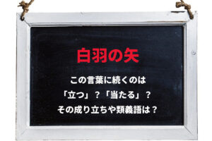 「白羽の矢」は『当たる』もの？『立つ』もの？その意味や成り立ちは？