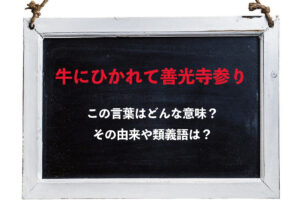 「牛にひかれて善光寺参り」とはどんな意味のことわざ？善光寺ってどこにあるお寺の事?