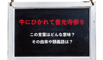 「牛にひかれて善光寺参り」とはどんな意味のことわざ?善光寺ってどこにあるお寺の事?