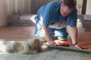 「お手伝いするよ！」床板を取り付けるパパを助けたいバセット・ハウンドが見せた行動が健気でかわいい