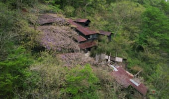 人に見られなくても花は咲く。廃鉱となった鉱山施設は人知れず美しい藤棚になっていました