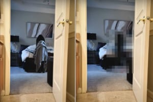 ベッドメイク中の人かと思ったら・・・、ベッドによじ登って寝たい『ある生き物』でした