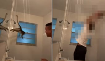 壁を走る姿はまるで忍者!!シャワールームの中をすばしっこく逃げまわるサルでしたが・・・、飼い主さんの方が一枚上手だったみたいです