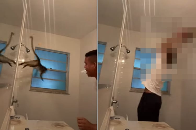 壁を走る姿はまるで忍者！！シャワールームの中をすばしっこく逃げまわるサルでしたが・・・、飼い主さんの方が一枚上手だったみたいです