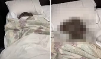 黒髪の人がベッドで寝ているのかなと思いきや・・・、近寄ってみると横になっていたのはなんと○○でした!!