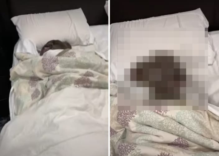 黒髪の人がベッドで寝ているのかなと思いきや・・・、近寄ってみると横になっていたのはなんと○○でした！！