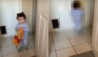 あらま、大丈夫?!タオルを頭にかけた幼い女の子。Uターンして歩いて行ったら・・・そこにあるのは壁だよ!!