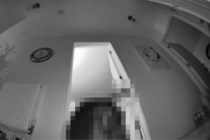 夜中に廊下で遊んでいたネコ。飼い主さんが別の部屋からカメラを通して話しかけてみると・・・！