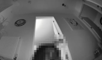夜中に廊下で遊んでいたネコ。飼い主さんが別の部屋からカメラを通して話しかけてみると・・・!