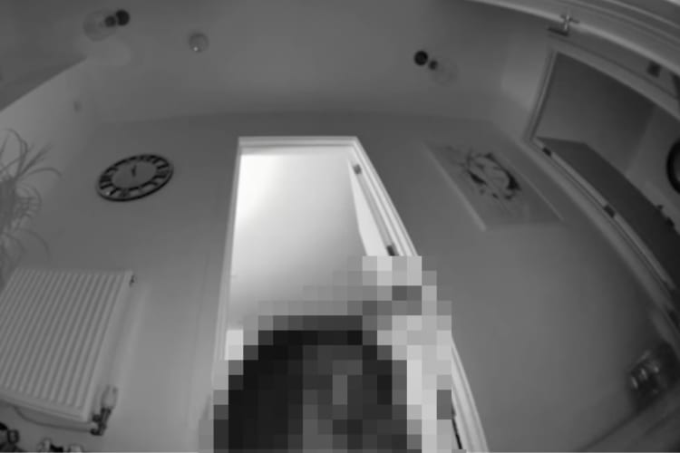 夜中に廊下で遊んでいたネコ。飼い主さんが別の部屋からカメラを通して話しかけてみると・・・！