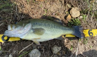 バス釣りリバー攻略！！釣れる川の見つけ方！！