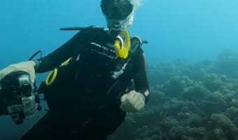 まるでおとぎ話の世界みたい!チョウチョウウオがダイバーさんに海の中を案内し、貝をプレゼントしてくれました!