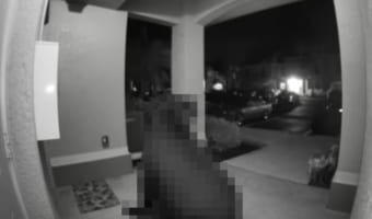 深夜の玄関にやって来たお客さん。防犯カメラの映像に映るその正体に・・・ビックリ!!