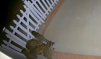 深夜の玄関先にアライグマの群れがあらわれた!・・・と思ったら、細い柵の間を通り、そのまま庭に姿を消してしまいました