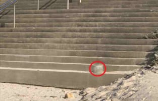 「あっ、毛繕い中の茶虎白ネコチャン！！」と思って駆け寄ったら・・・、その正体に愕然！！