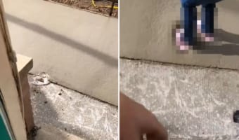 この5歳の女の子は知らなかったのです。コンクリートが乾くには時間がかかるという事を!