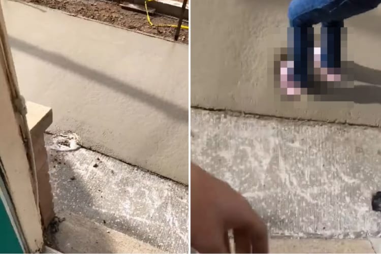 お家の前の歩道が整備されて嬉しくなった女の子。しかし、この5歳の女の子は知らなかったのです。コンクリートが乾くには時間がかかるという事を